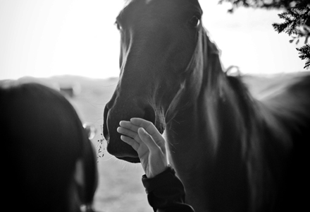 photo noir et blanc d'une femme caressant les naseaux d'un cheval