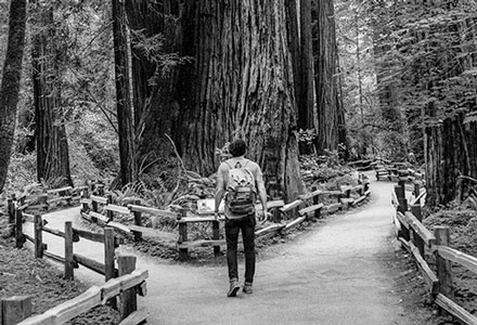 Photo d'une homme à la croisée de deux chemins en forêt